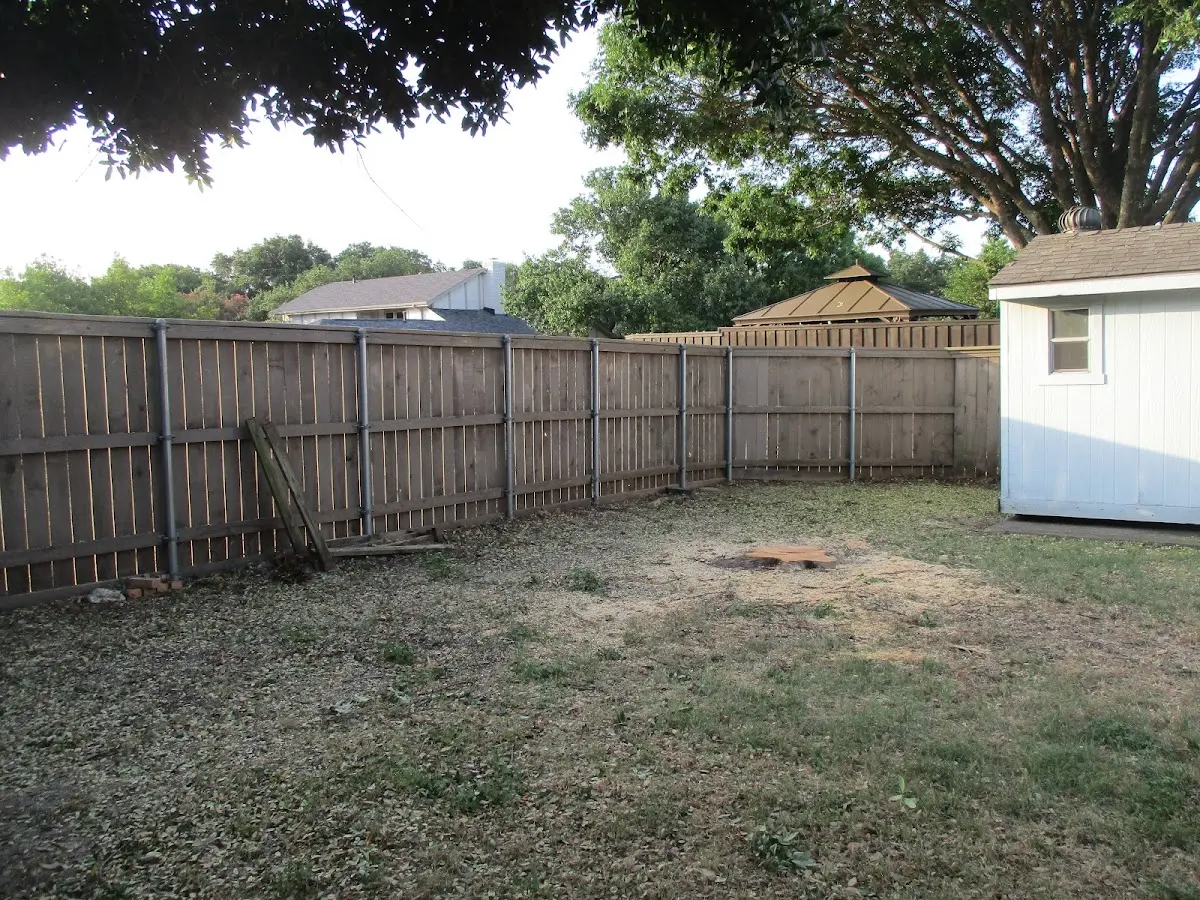 Cleared yard after professional tree removal in Lone Pine