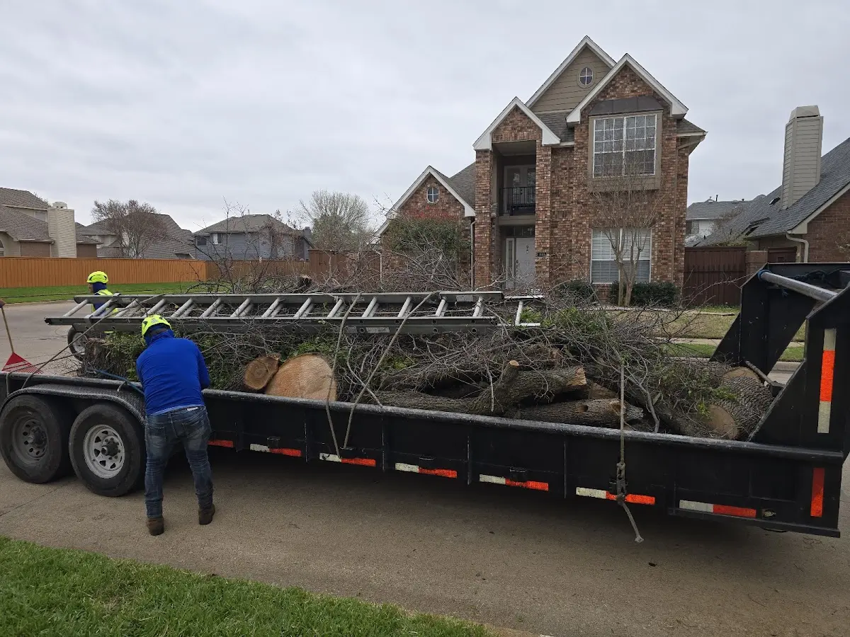 Expert Lot Clearing with proper safety equipment in Lone Pine